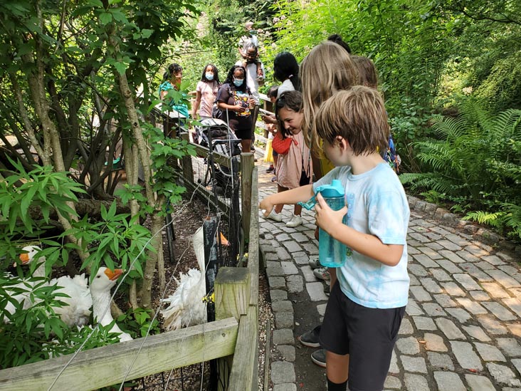 Prospect Park Zoo, Prospect Park, Brooklyn, July 20, 2021