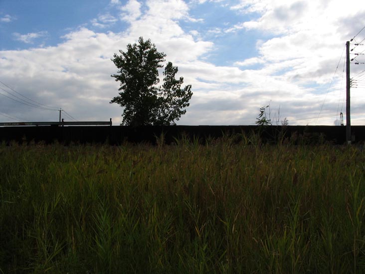 Halleck Street Across From Todd Memorial Square, Red Hook, Brooklyn