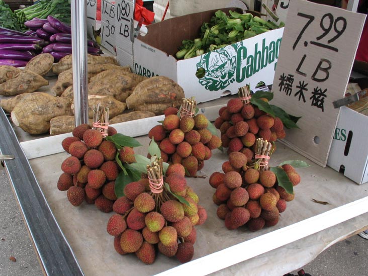 Lychees, West Side of 8th Avenue Between 60th and 61st Streets, Sunset Park, Brooklyn