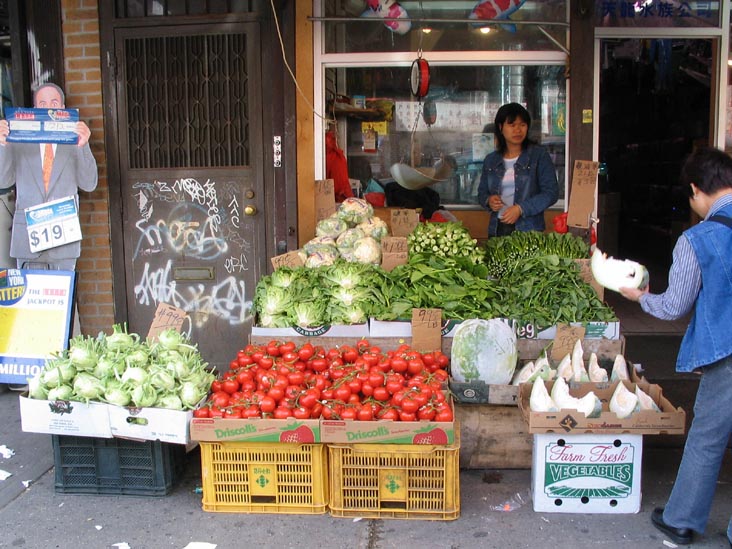 West Side of 8th Avenue Between 58th and 59th Streets, Sunset Park, Brooklyn