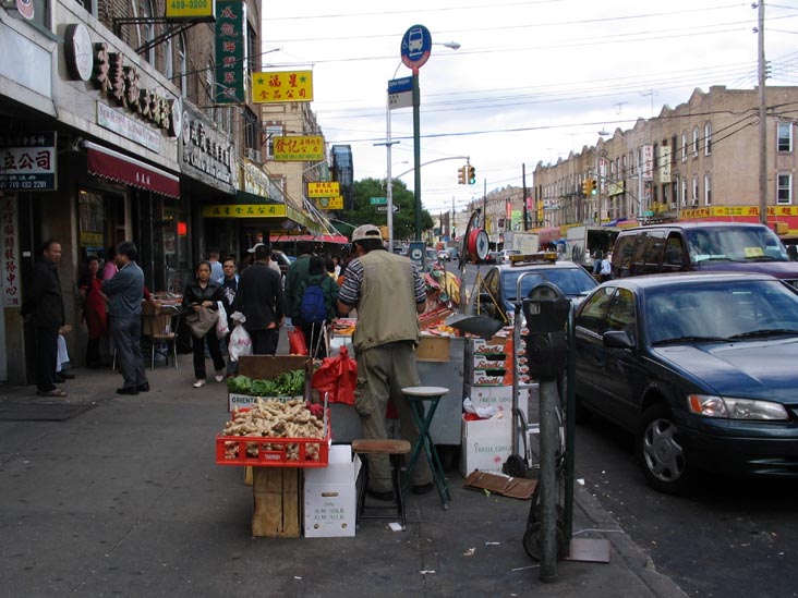 West Side of 8th Avenue Between 58th and 59th Streets, Sunset Park, Brooklyn