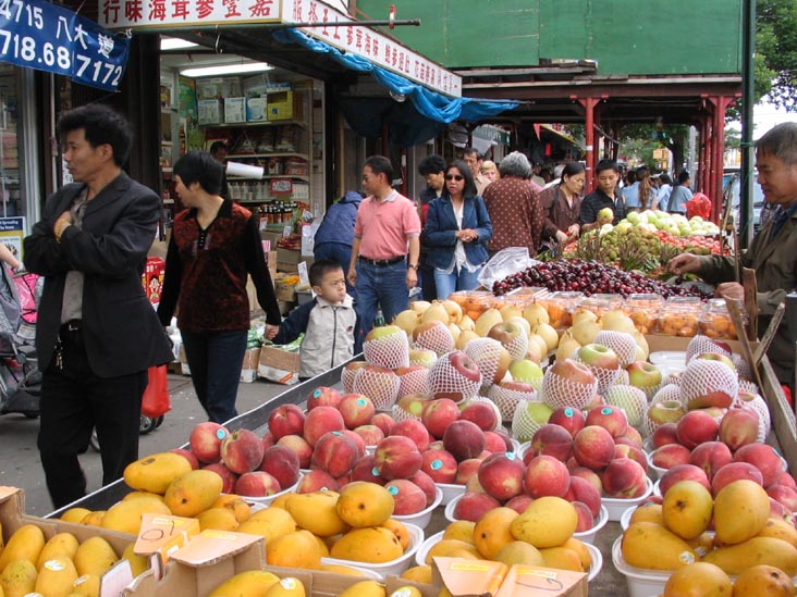 West Side of 8th Avenue Between 57th and 58th Streets, Sunset Park, Brooklyn