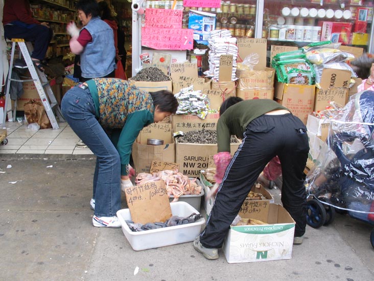 West Side of 8th Avenue Between 57th and 58th Streets, Sunset Park, Brooklyn