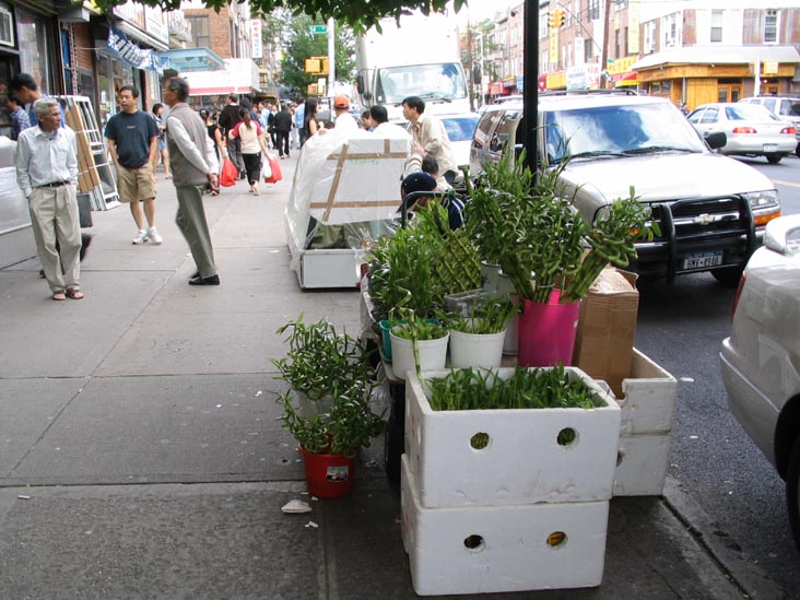West Side of 8th Avenue Between 54th and 55th Streets, Sunset Park, Brooklyn