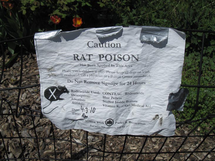 Rat Poison Notice, Continental Army Plaza, Williamsburg, Brooklyn, April 18, 2010