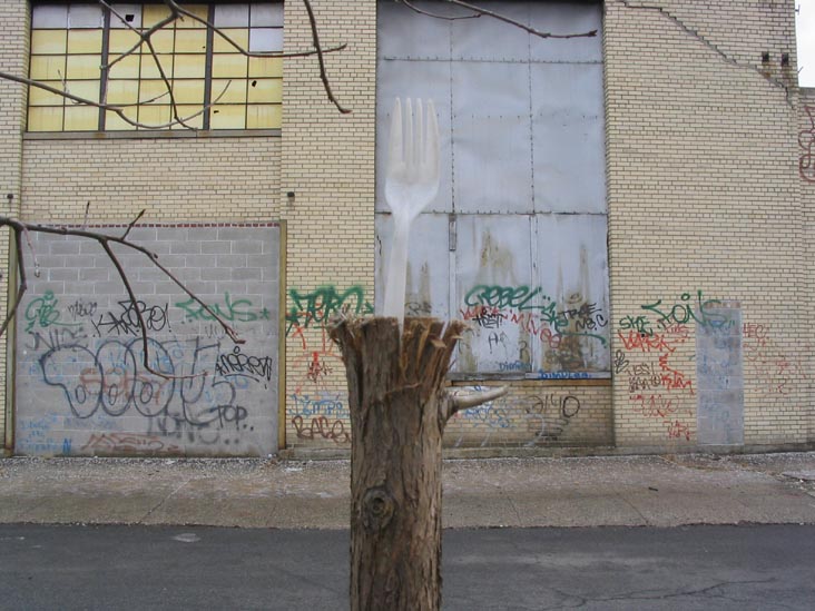 East Side of River Street Between Grand Street and North 1st Street, Williamsburg, Brooklyn, February 21, 2004