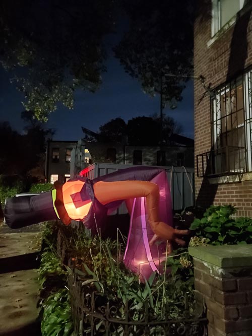 Vanderbilt Street, Windsor Terrace, Brooklyn, November 1, 2020