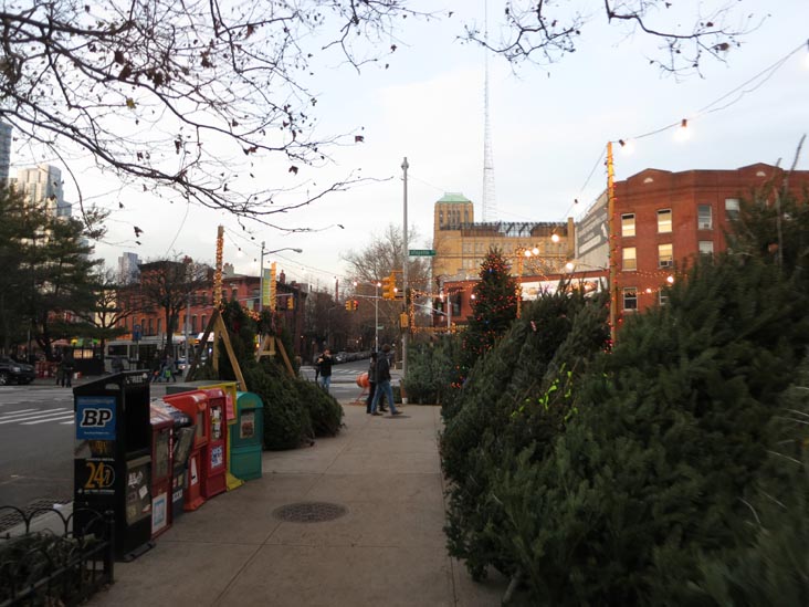 Christmas Trees For Sale, Fort Greene Place and Lafayette Avenue, Fort Greene, Brooklyn, December 15, 2012