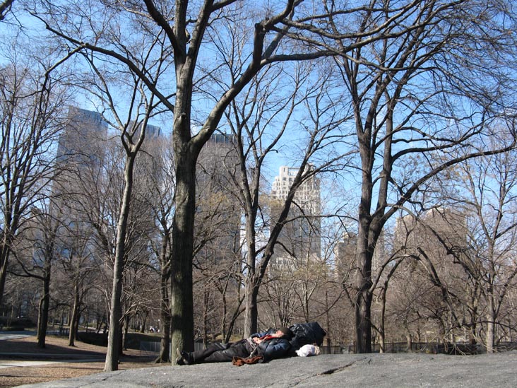 Central Park, Manhattan, February 23, 2009