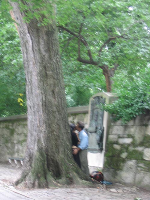 Fifth Avenue Near 91st Street, Upper East Side, Manhattan, August 13, 2004