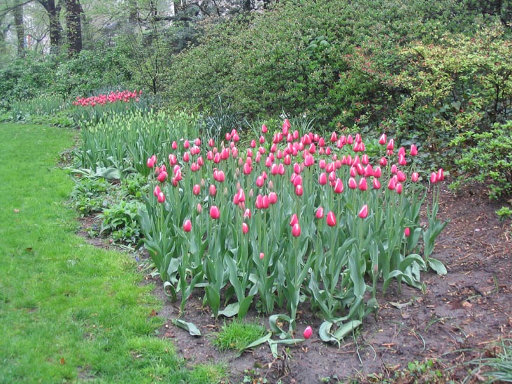 Central Park at Fifth Avenue and 64th Street, April 28, 2004