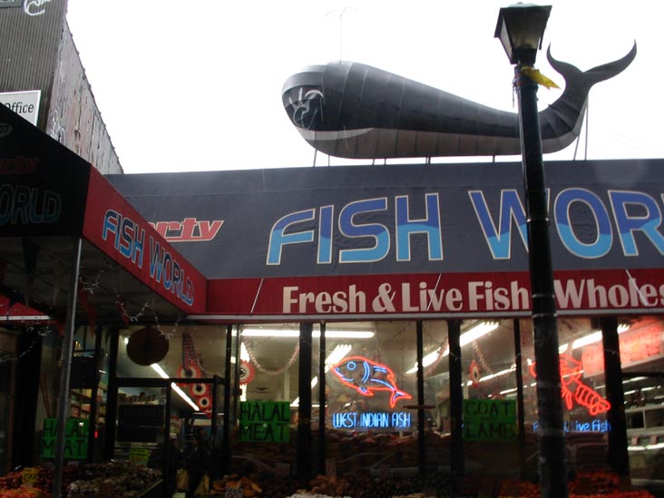Fish World, 117-09 Liberty Avenue, Richmond Hill, Queens