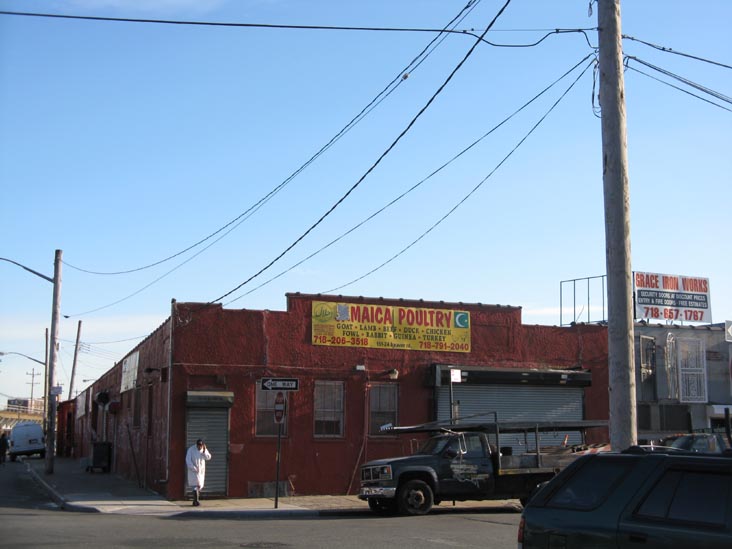 Wazir Halal Poultry, 151-24 Beaver Road, Jamaica, Queens, December 16, 2009