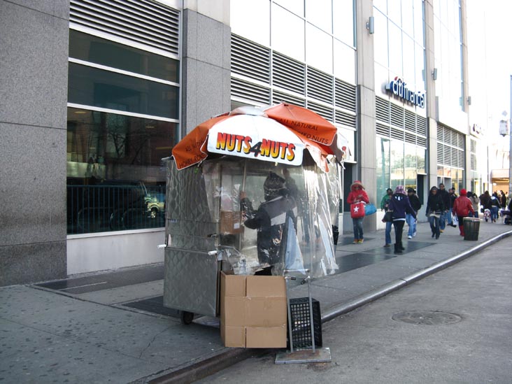 Nuts 4 Nuts Cart, 159th Street and Jamaica Avenue, SE Corner, Jamaica, Queens, December 16, 2009