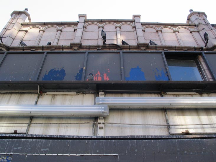 Pigeons, Austin Street, Forest Hills, Queens