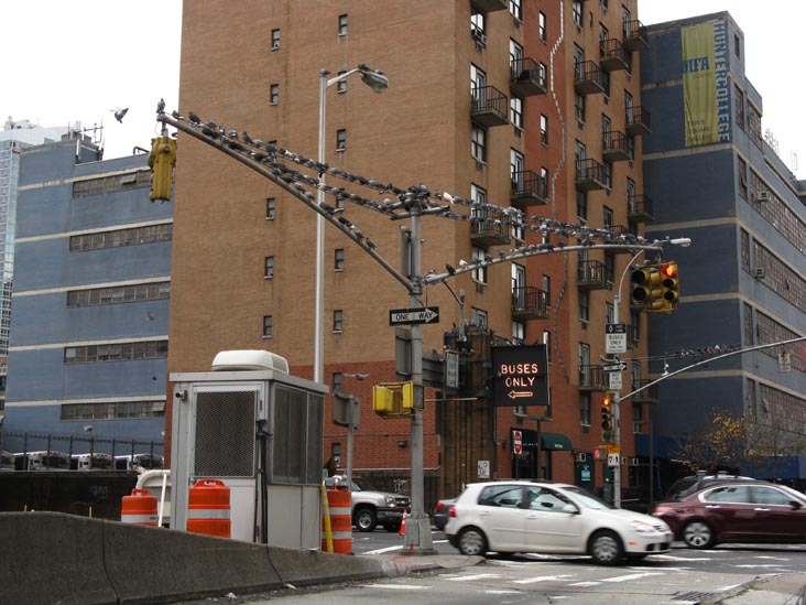 Pigeons, 41st Street and Dyer Avenue, Midtown Manhattan, October 30, 2009