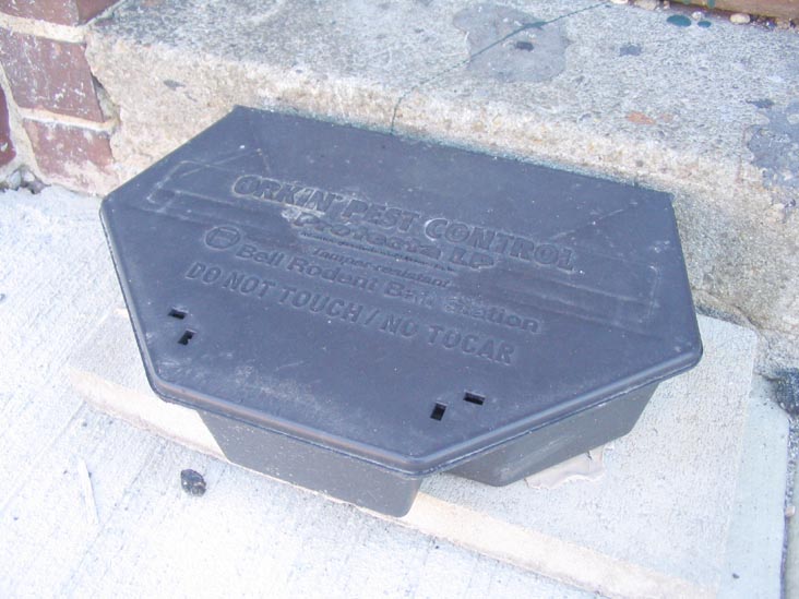 Rat Trap, Meserole Avenue, Greenpoint, Brooklyn, April 5, 2008