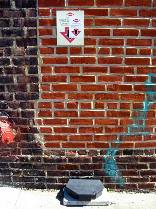 Rat Trap, Gem Street, Greenpoint, Brooklyn, April 5, 2008