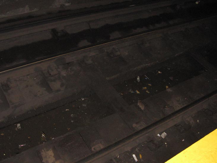 Rat, Vernon Boulevard-Jackson Avenue Subway Station, Hunters Point, Long Island City, Queens, January 7, 2009