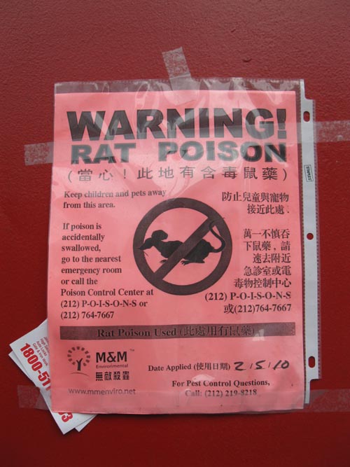 Rat Poison Notice, Canal Street, Chinatown, Lower Manhattan, February 22, 2010