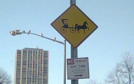 New York City Signage: Buggy Crossing