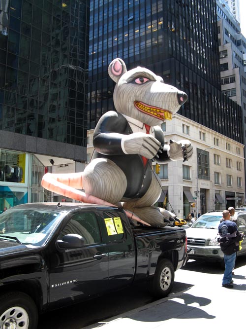 Rat, Madison Avenue Near 60th Street, Manhattan, May 28, 2008