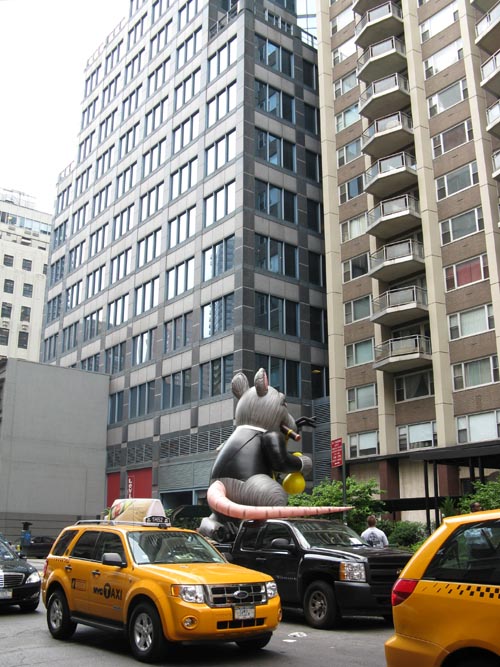 Union Rat, East 60th Street Between Lexington and Park Avenues, Upper East Side, Manhattan, July 30, 2008