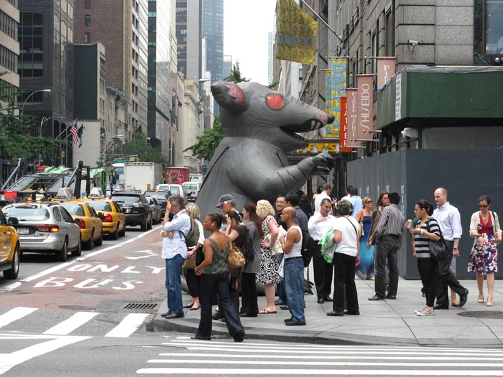 Union Rat, 57th Street and Lexington Avenue, NW Corner, Midtown Manhattan, June 26, 2009
