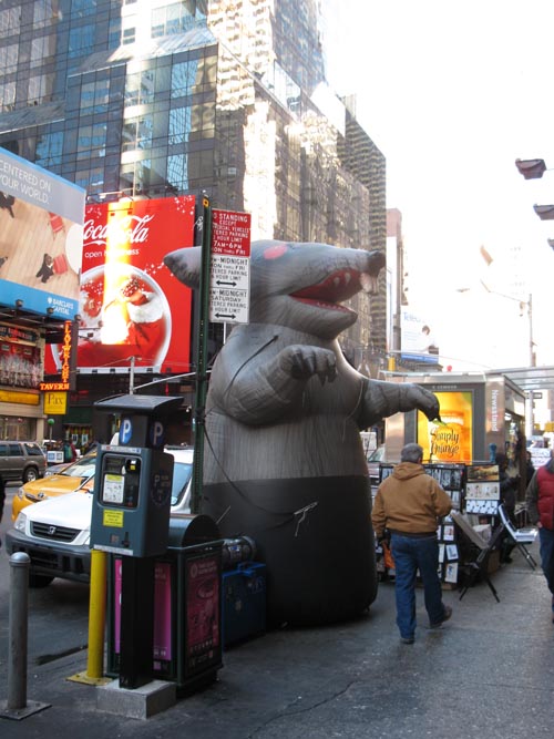Union Rat, Seventh Avenue and 49th Street, Midtown Manhattan, December 22, 2010