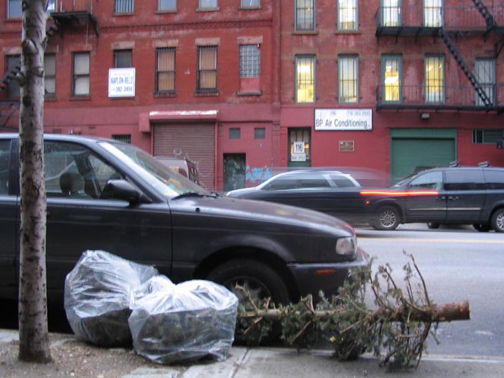 Discarded Christmas Tree, Greenpoint Avenue, Greenpoint, Brooklyn