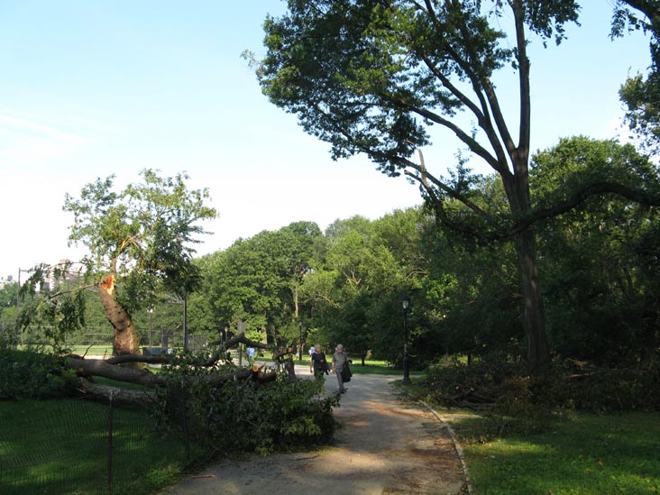 August 18, 2009 Storm Aftermath, North Meadow, Central Park, Manhattan, August 21, 2009