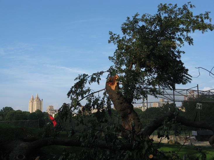 August 18, 2009 Storm Aftermath, North Meadow Ballfield Five, Central Park, Manhattan, August 21, 2009