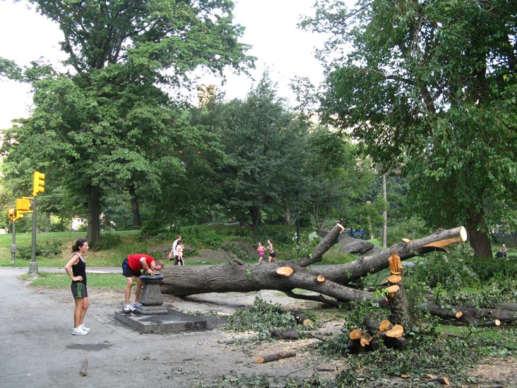 August 18, 2009 Storm Aftermath, West Drive Near 93rd Street, Central Park, Manhattan, August 21, 2009