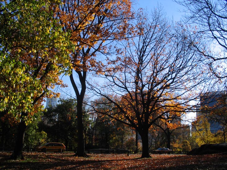 Park Drive, Central Park, Manhattan, November 17, 2005