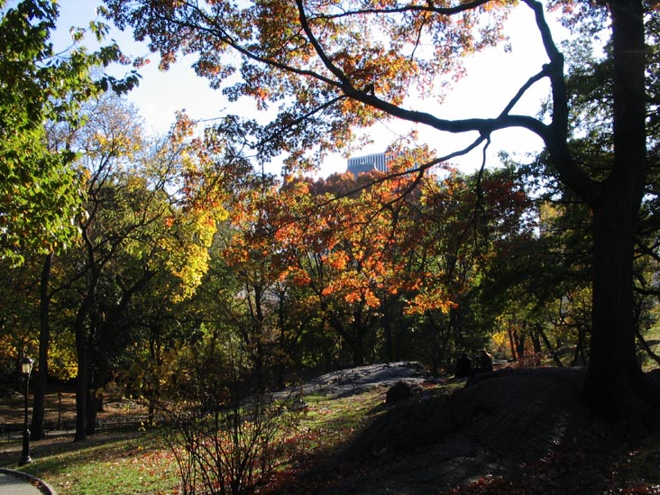Central Park Near the 66th Street Transverse, Manhattan, November 17, 2005