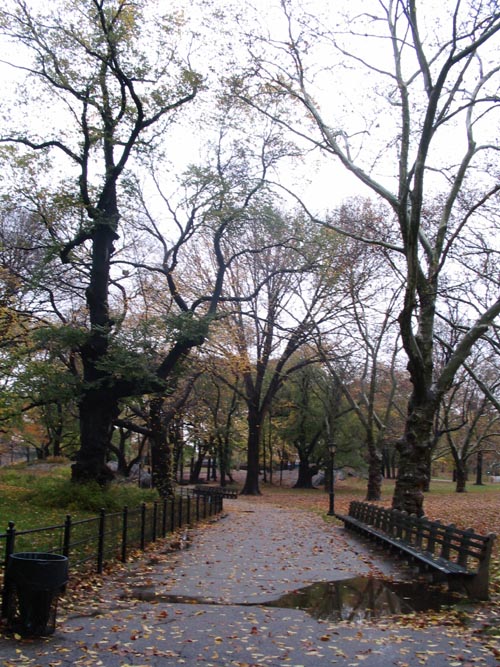 The Mall, Central Park, Manhattan, November 22, 2005