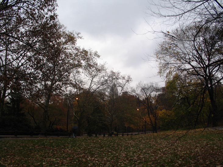 Central Park, Manhattan, November 22, 2005
