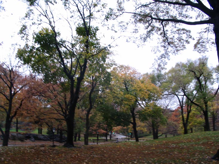 Central Park, Manhattan, November 22, 2005