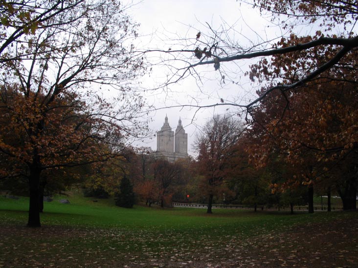 Near The Mall, Central Park, Manhattan, November 22, 2005