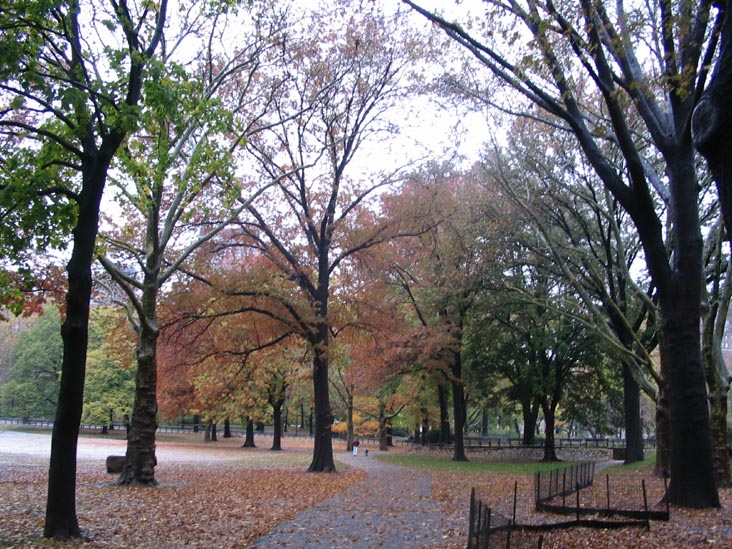 Central Park, Manhattan, November 22, 2005