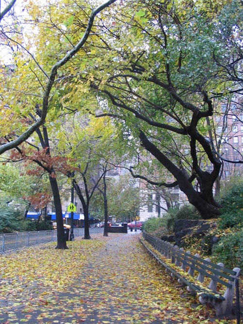 Near Tavern on the Green, Central Park, Manhattan, November 22, 2005
