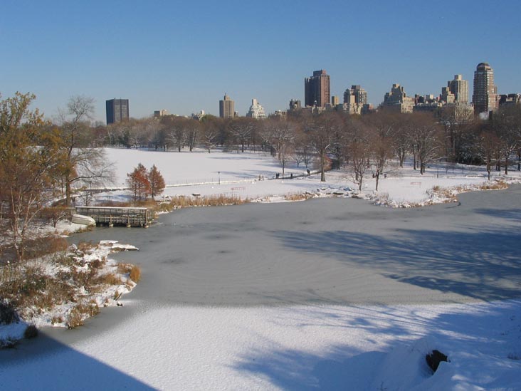 Great Lawn From Belvedere Castle, Central Park, Manhattan, December 9, 2005