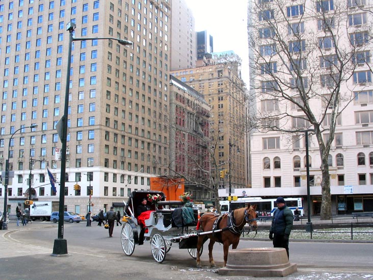 Horse Trough Near Bolivar Plaza, Central Park South at Sixth Avenue, Central Park, Manhattan