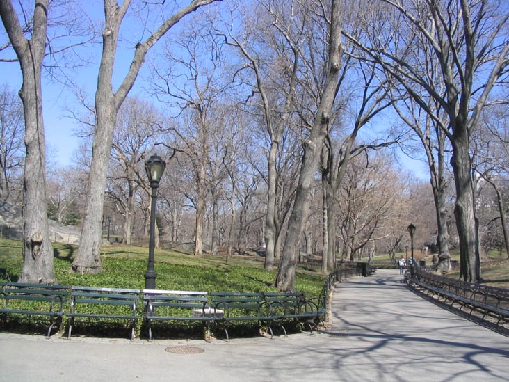 The Dene, Central Park, Manhattan, March 23, 2004