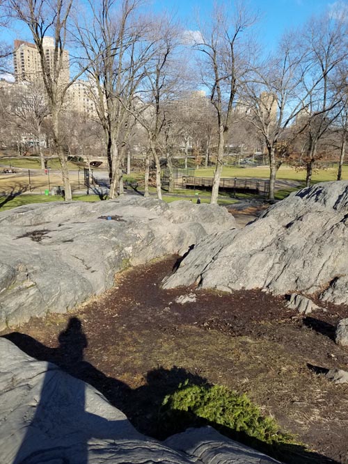 The Dene, Central Park, Manhattan, January 19, 2017