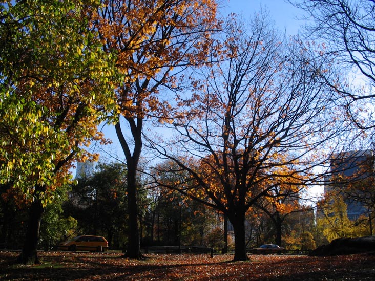 Central Park, November 17, 2005