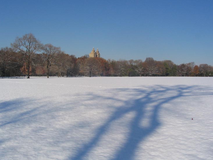 Great Lawn, Central Park, Manhattan, December 9, 2005