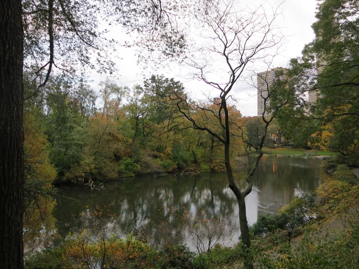 Pond, Central Park, Manhattan, November 2, 2012