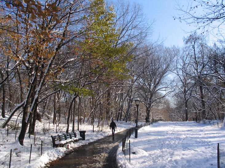 The Ramble, Central Park, Manhattan, December 9, 2005
