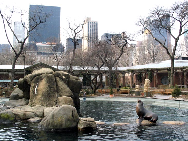 Sea Lion, Central Park Zoo, Central Park, Manhattan, March 13, 2007